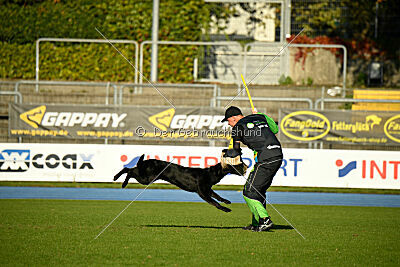 Brida vom Monumentweg