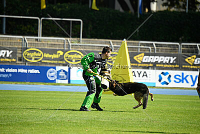 Brix vom Haus Taurus