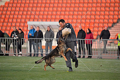 Brix vom Kattenstedter Busch