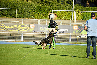 Broxx Canis Invictus