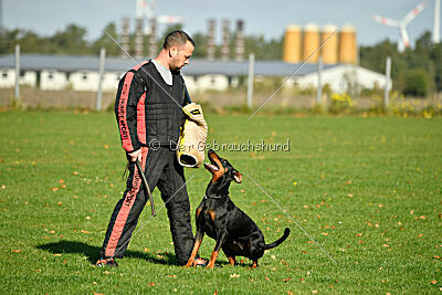 Brückendorfer Bonni