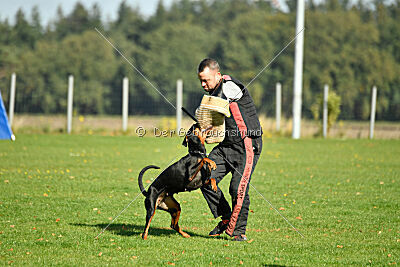 Brückendorfer Bonni
