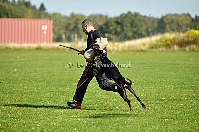 Brückendorfer Bonni
