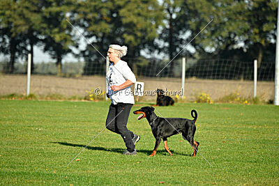 Brückendorfer Bonni