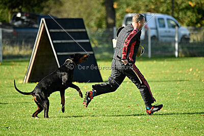 Brückendorfer Buster