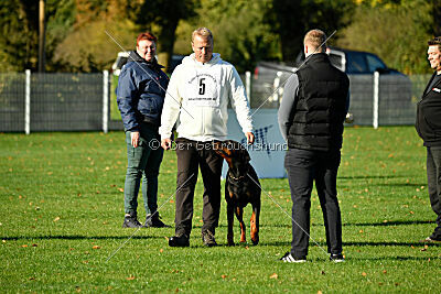 Brückendorfer Buster