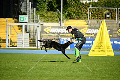 Bruna vom Haus Dexel