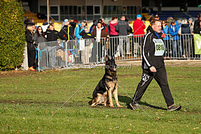 Bruno vom Wolfsstolz