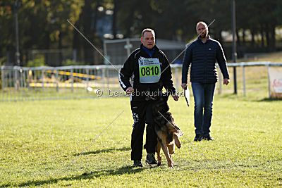 Bruno vom Wolfsstolz