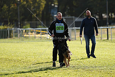 Bruno vom Wolfsstolz