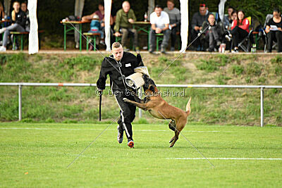 Bruno von der Killertalschanze