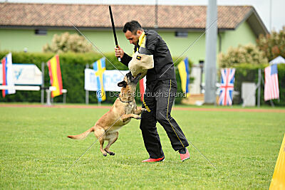 Buckcherry Fox Garden