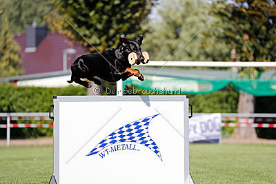 Buddy vom Hexenzauber