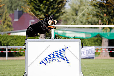 Buddy vom Hexenzauber