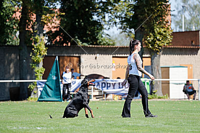 Buddy vom Hexenzauber