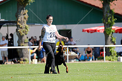 Buddy vom Hexenzauber