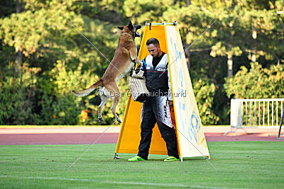 Bugatti vom Wolfsgrabenweg