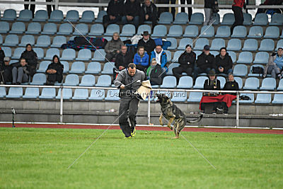 Bushido von Hund und Sport
