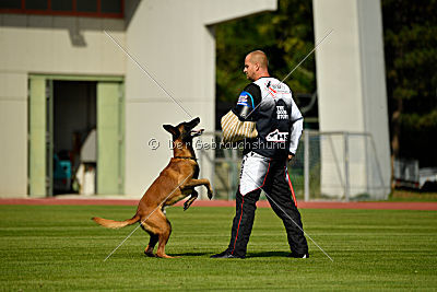 Butch de la Videmanette