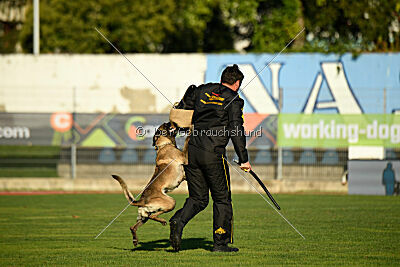 Butterfly vom Spiritus Lusitanus