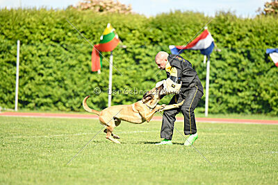 C'Rapper King Regent