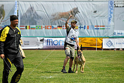 C'Rapper King Regent