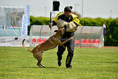 C'Rapper King Regent