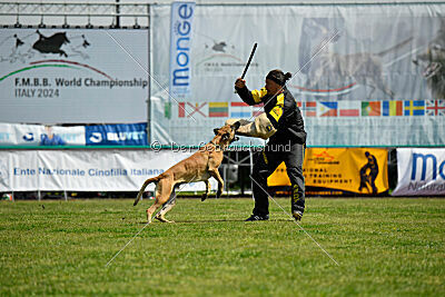 C'Rapper King Regent