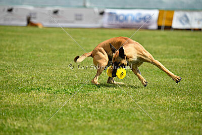 C'Rapper King Regent