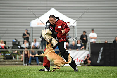 Caja von der schwarzen Mamba