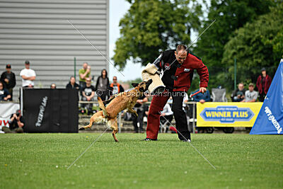 Caja von der schwarzen Mamba
