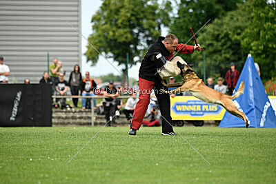 Caja von der schwarzen Mamba