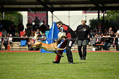 Caja von der schwarzen Mamba