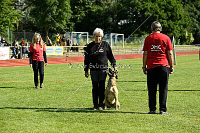 Caja von der schwarzen Mamba