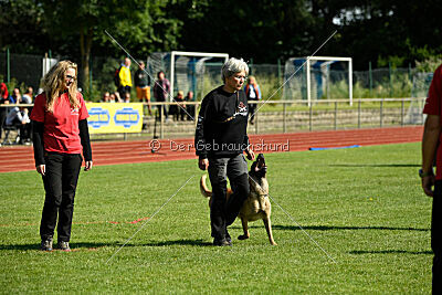 Caja von der schwarzen Mamba