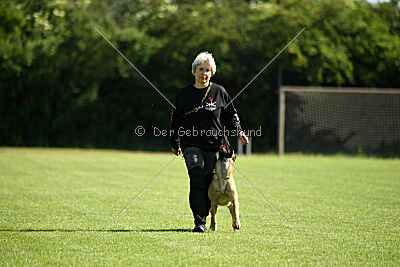 Caja von der schwarzen Mamba