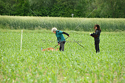 Caja von der schwarzen Mamba