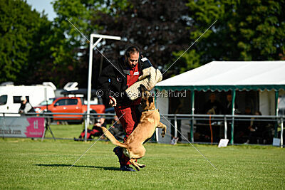 Caja von der schwarzen Mamba