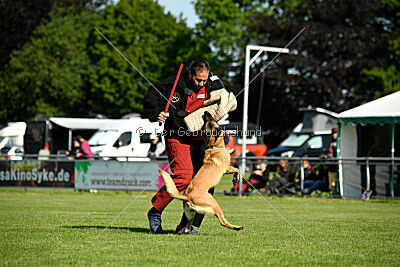 Caja von der schwarzen Mamba