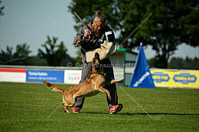 Caja von der schwarzen Mamba