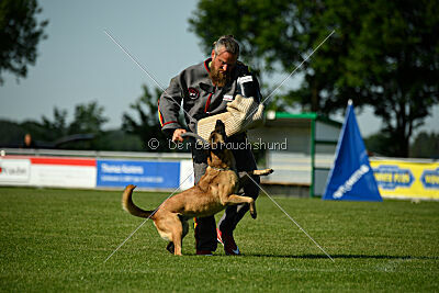 Caja von der schwarzen Mamba