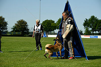 Caja von der schwarzen Mamba