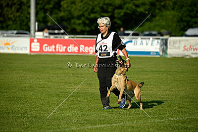 Caja von der schwarzen Mamba
