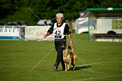 Caja von der schwarzen Mamba