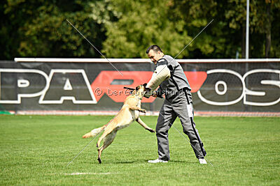 Caja von der schwarzen Mamba