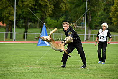 Caja von der schwarzen Mamba