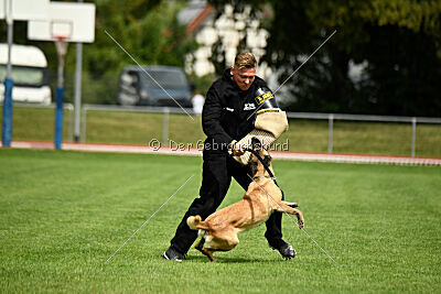 Caja von der schwarzen Mamba
