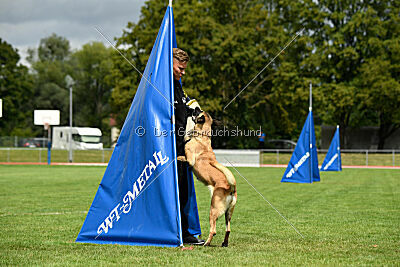 Caja von der schwarzen Mamba