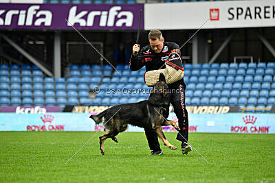 Cali vom alten Gatter