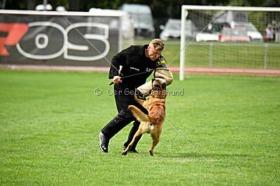 Calle von der schwarzen Mamba